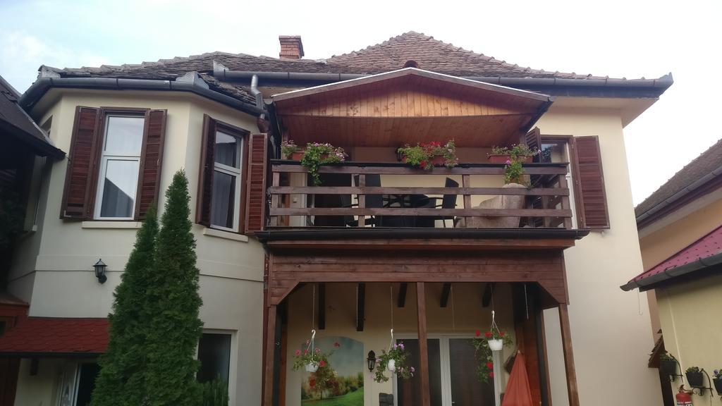 Pensiunea Liana Nemsa Zewnętrze zdjęcie
