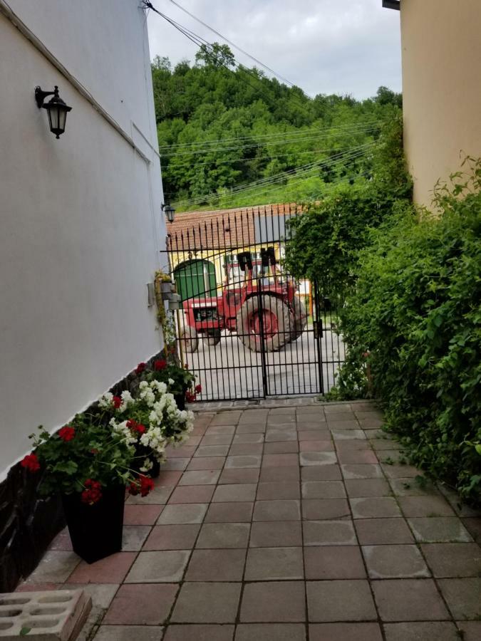 Pensiunea Liana Nemsa Zewnętrze zdjęcie
